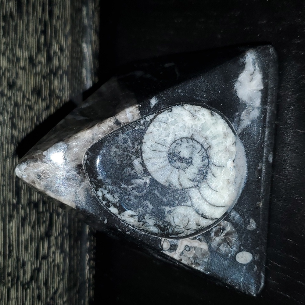 Orthoceras Pyramid Fossil